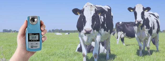 Why use a refractometer to measure colostrum?