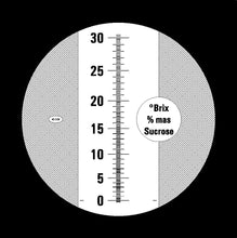 Eclipse 0-30 Brix refractometer scale