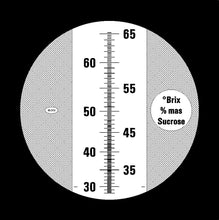Eclipse 28-65 Brix refractometer scale