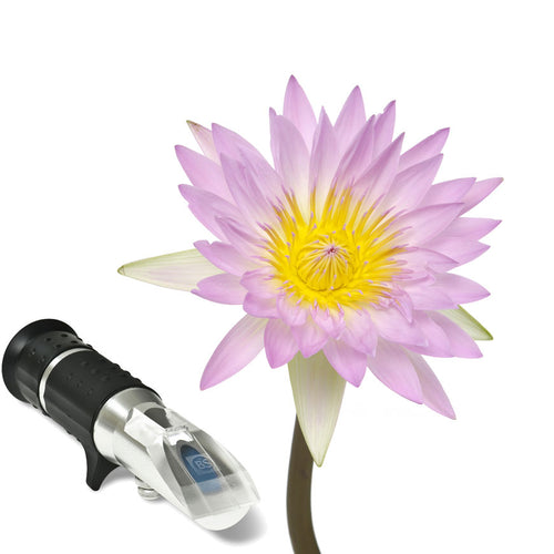 Low volume refractometer for measuring nectar